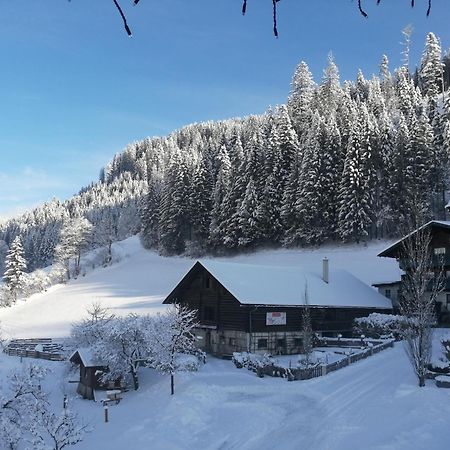 Appartement Ferienhof Ortnergut Eben Im Pongau Εξωτερικό φωτογραφία