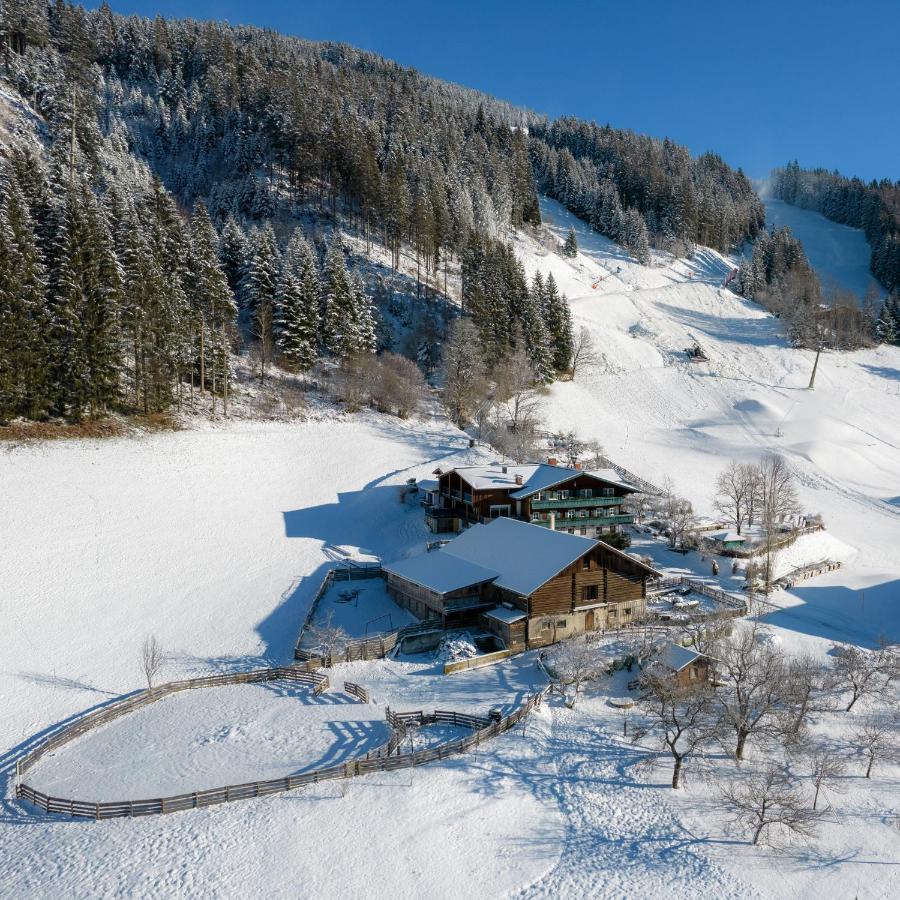 Appartement Ferienhof Ortnergut Eben Im Pongau Εξωτερικό φωτογραφία