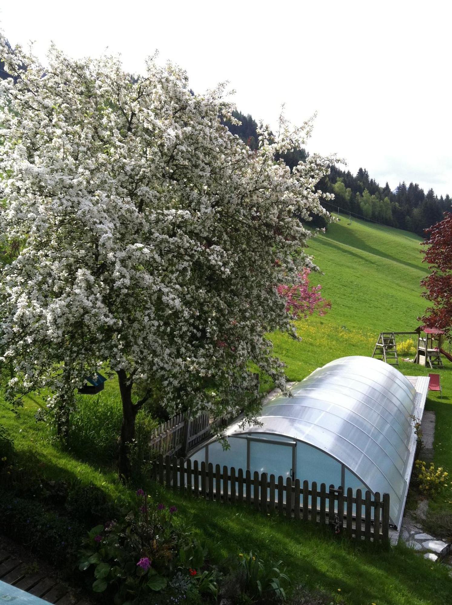 Appartement Ferienhof Ortnergut Eben Im Pongau Εξωτερικό φωτογραφία