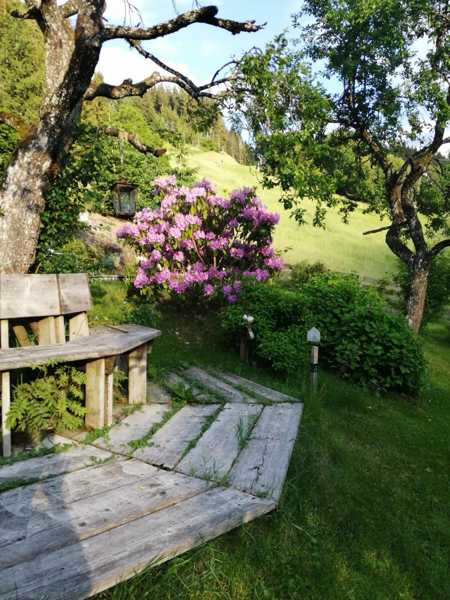 Appartement Ferienhof Ortnergut Eben Im Pongau Εξωτερικό φωτογραφία