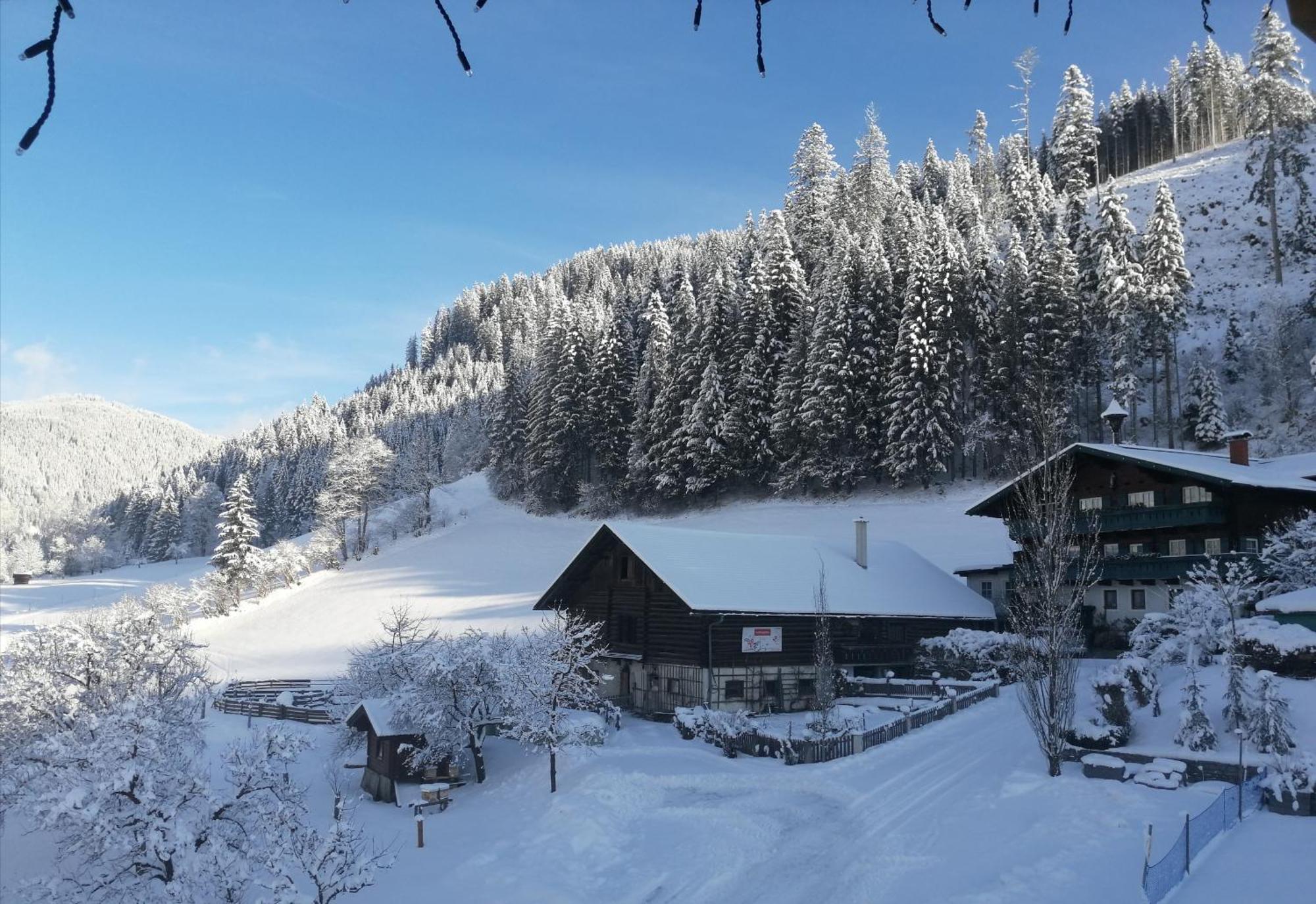 Appartement Ferienhof Ortnergut Eben Im Pongau Εξωτερικό φωτογραφία