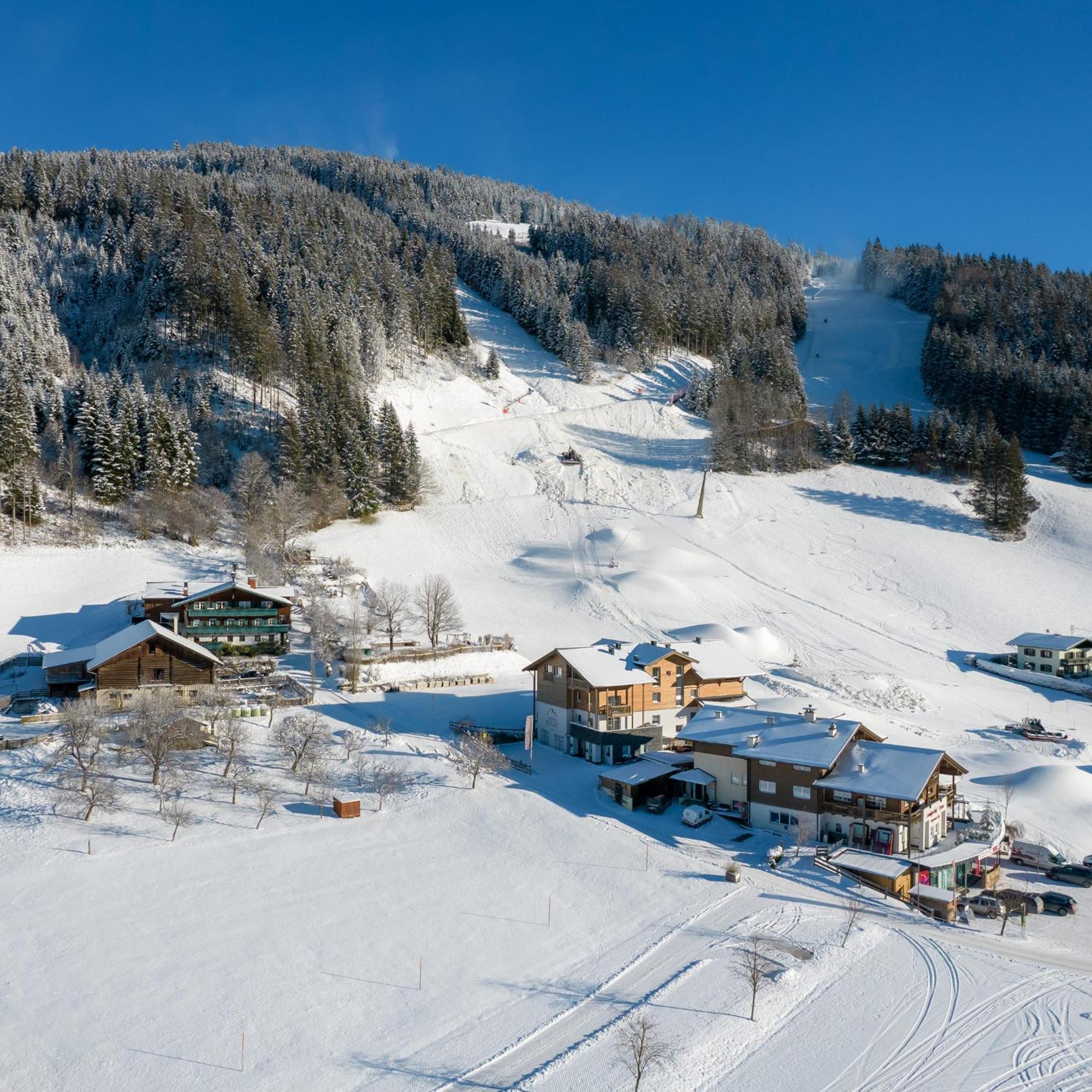 Appartement Ferienhof Ortnergut Eben Im Pongau Εξωτερικό φωτογραφία