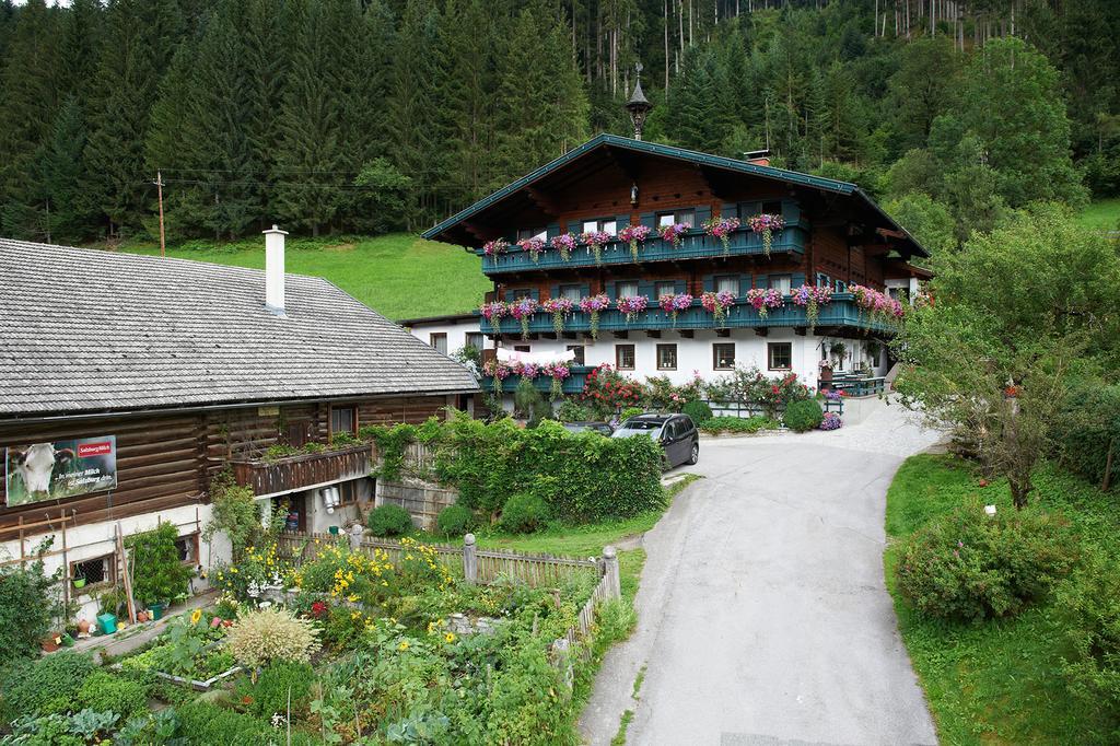 Appartement Ferienhof Ortnergut Eben Im Pongau Εξωτερικό φωτογραφία